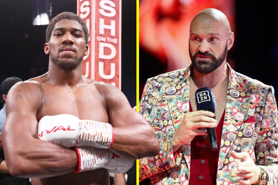 Joshua and Fury have a long-standing rivalry and are poised to finally meet in the ring